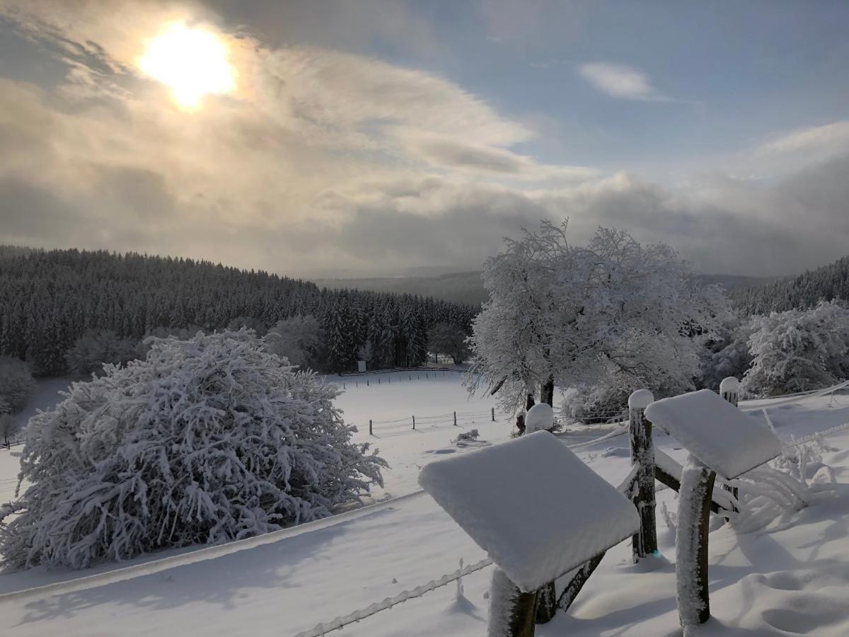 Apartment Sports Tower 30-2 Winterberg Bagian luar foto